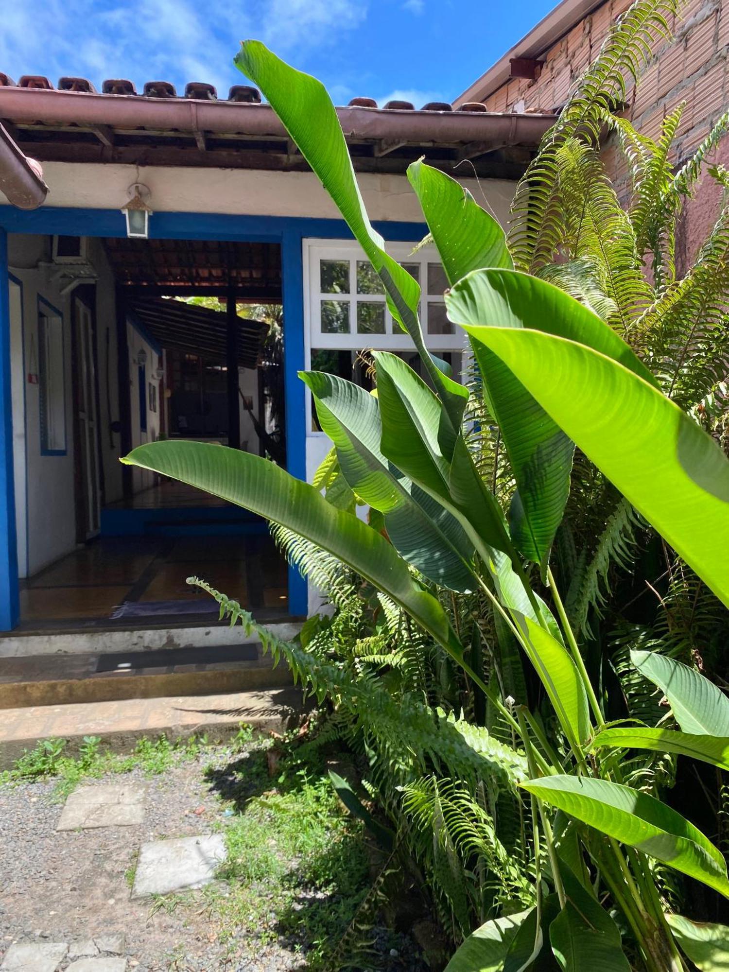 Tropicalia Hostel E Pousada อิตากาเร ภายนอก รูปภาพ