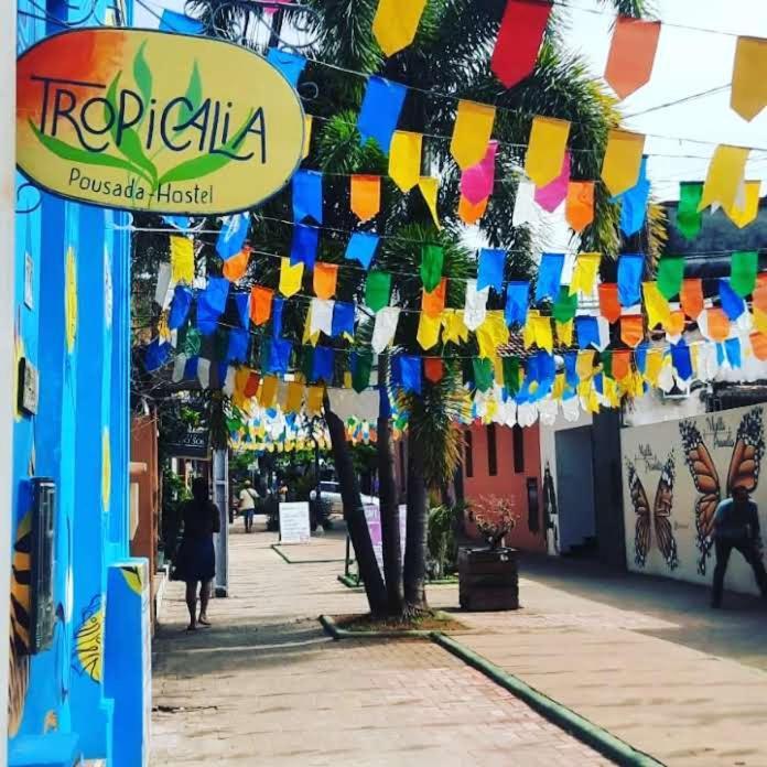 Tropicalia Hostel E Pousada อิตากาเร ภายนอก รูปภาพ